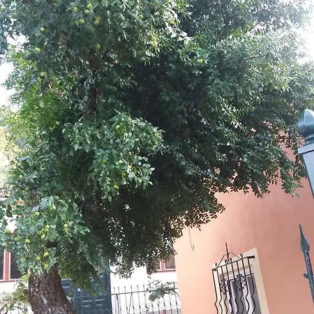 Anthi's 펜션 Kastellanoi (Agios Georgios (Corfu))